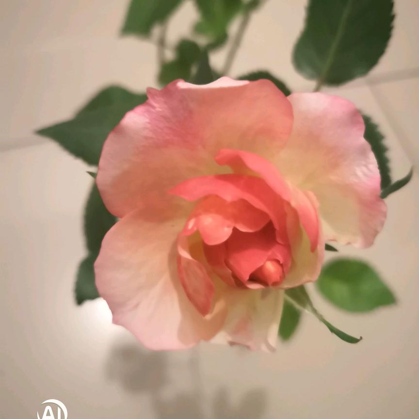 xyz手串DIY