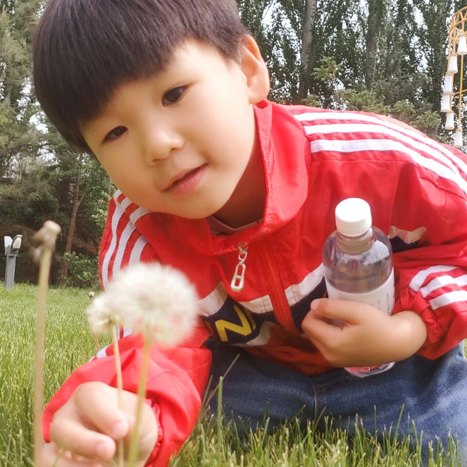 散装醉美搬运工