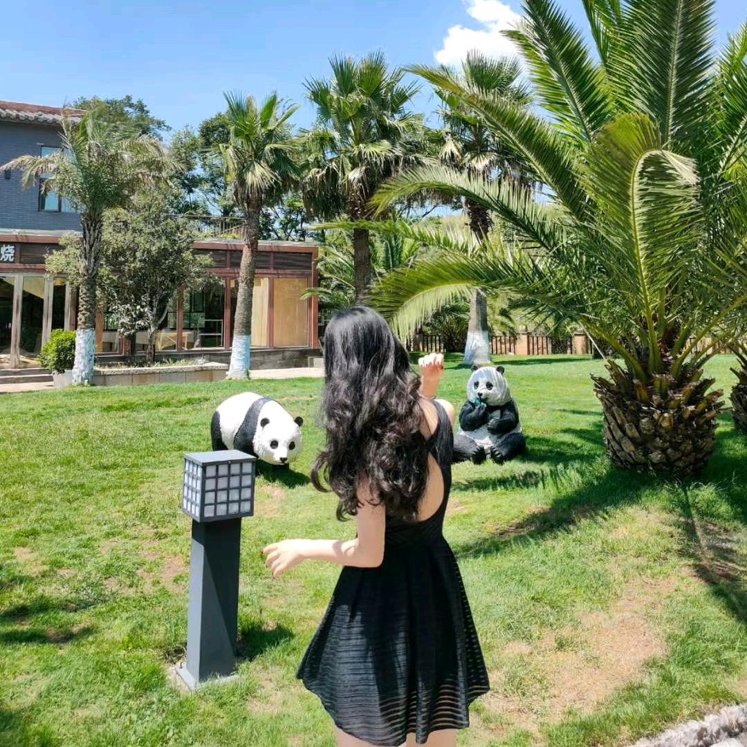 是妮妮妮妮
