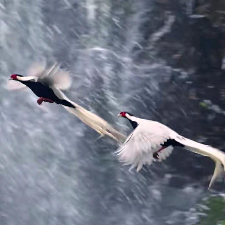 平安是福生活美好