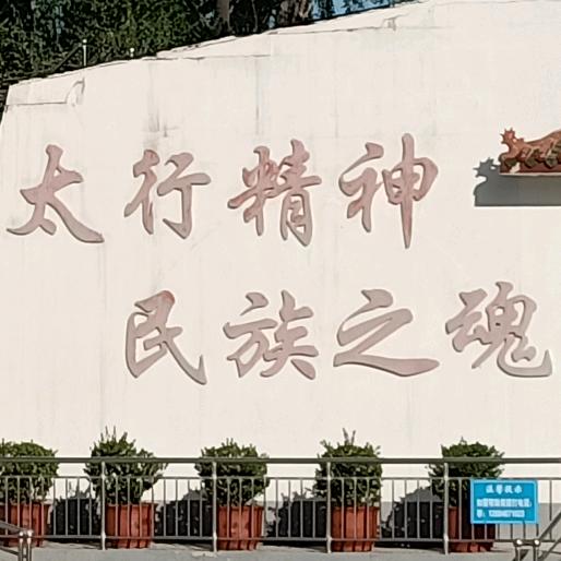 十八掌老兵