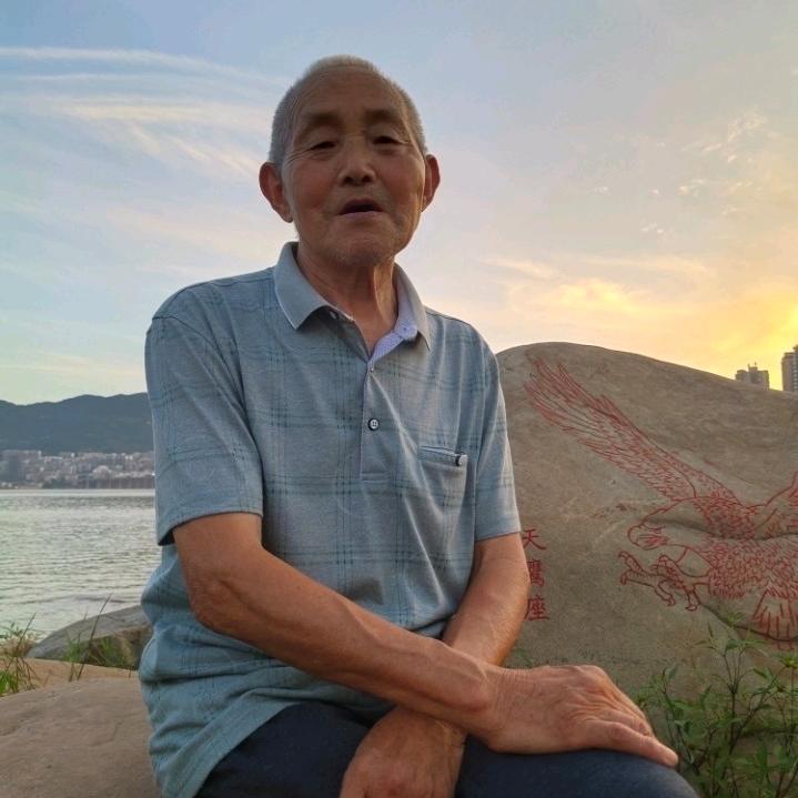 刘六树