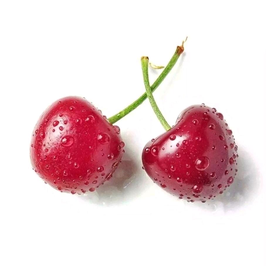 美时⁺⁵¹¹