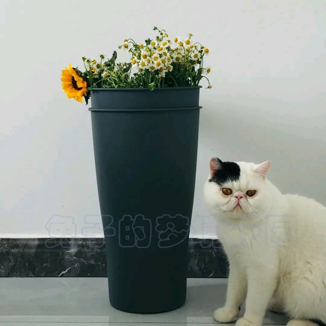 兔子有间小作坊