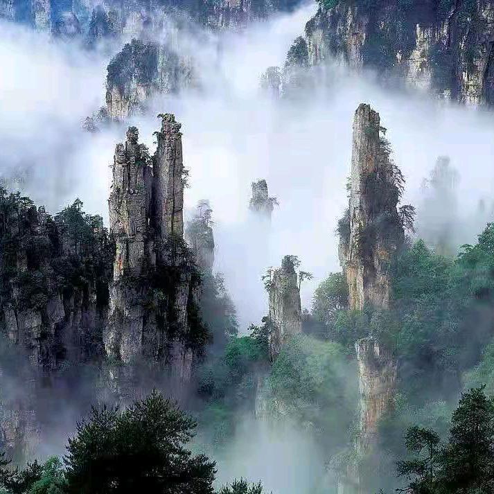 励志哥