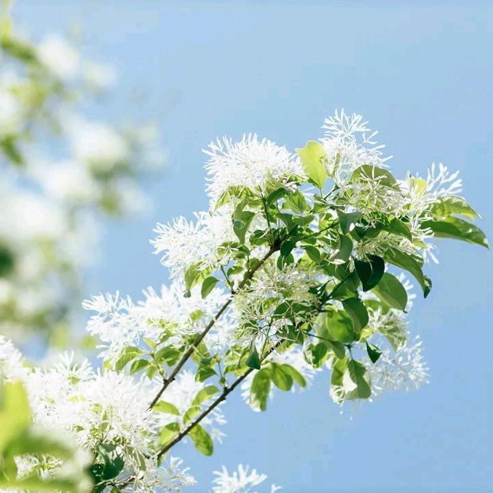 秋意