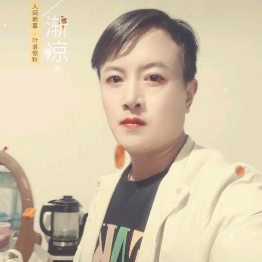 @卡车小卫