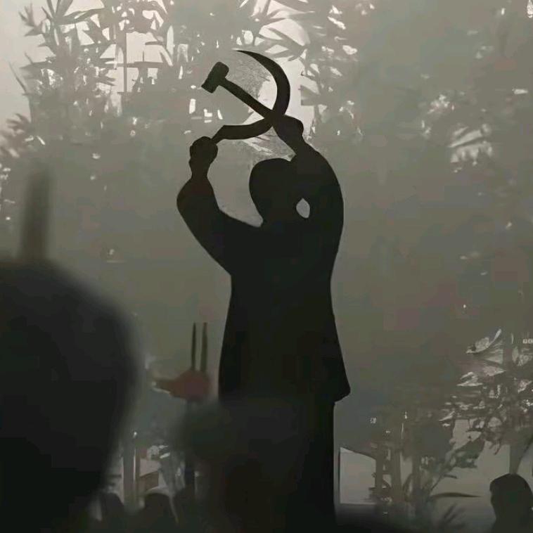 .D.