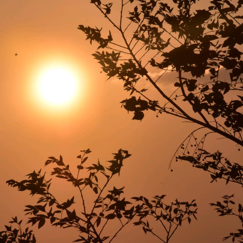 落叶潇湘              🕷