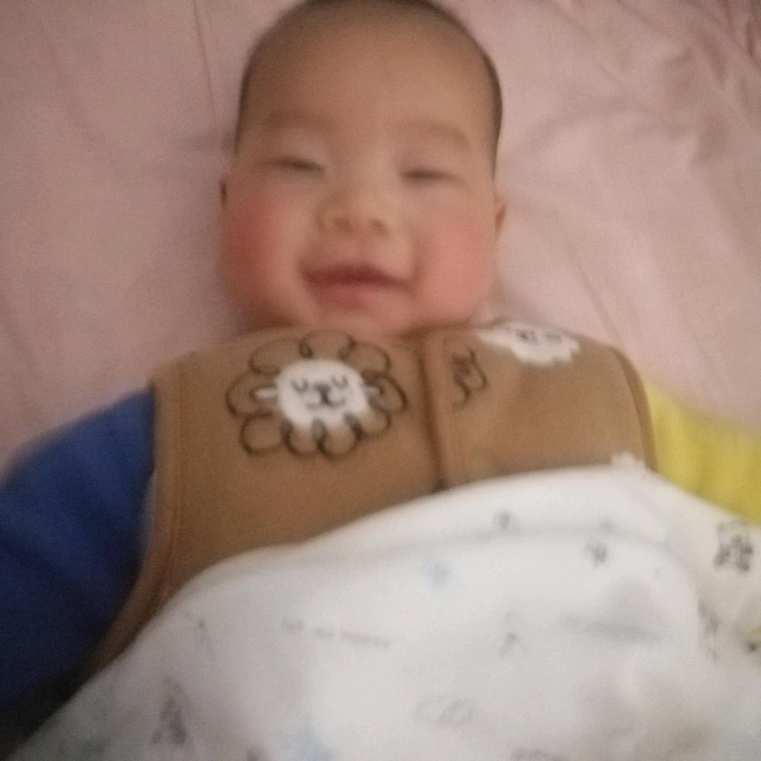 你好猫
