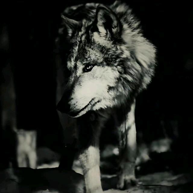 ¹².₂₇黄℘࿐