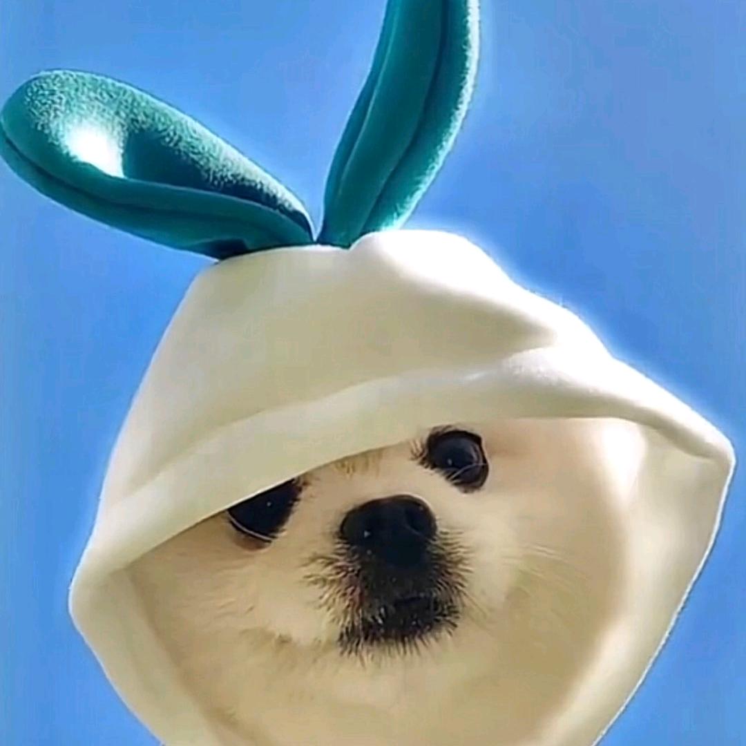 嗨辣，嗨了（凌源总店）