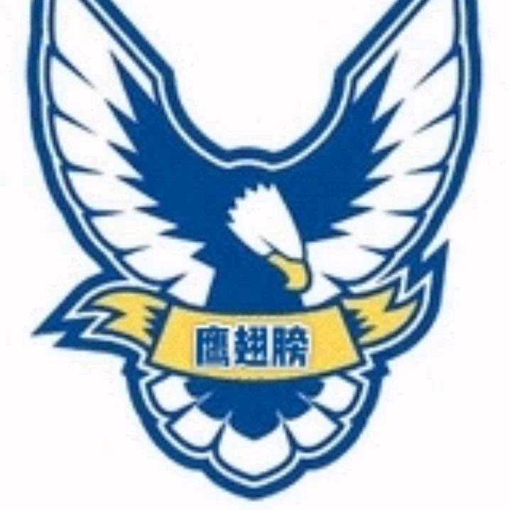 鹰翅膀
