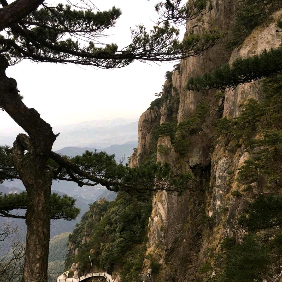 文明驾校..宋Z