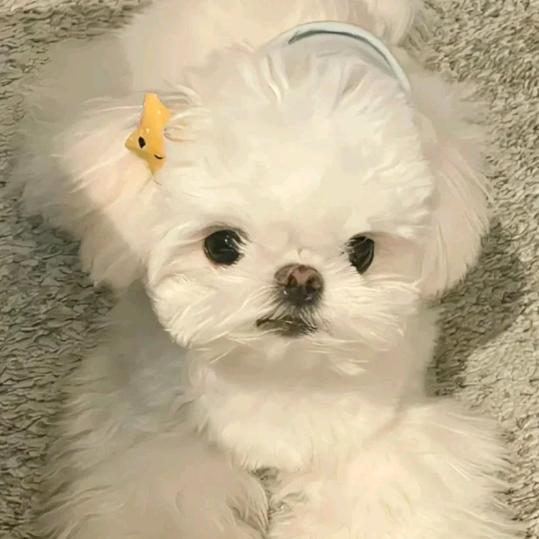 夜行人的自白