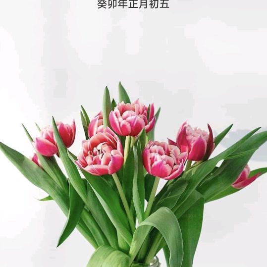 风沙万里长