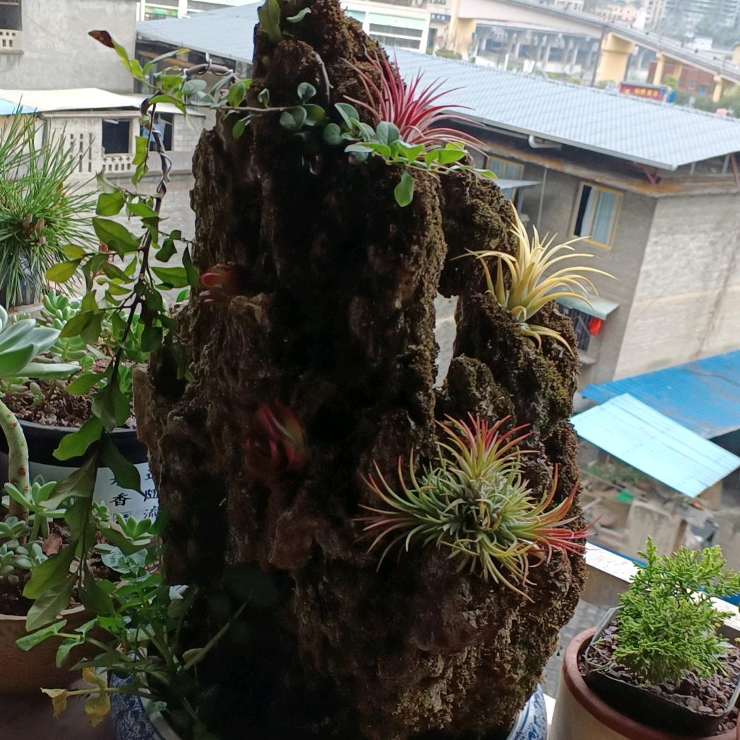 鹅卵石