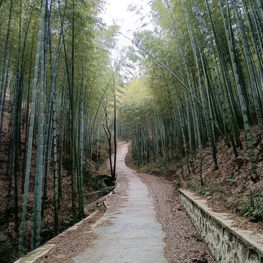 风雨前行