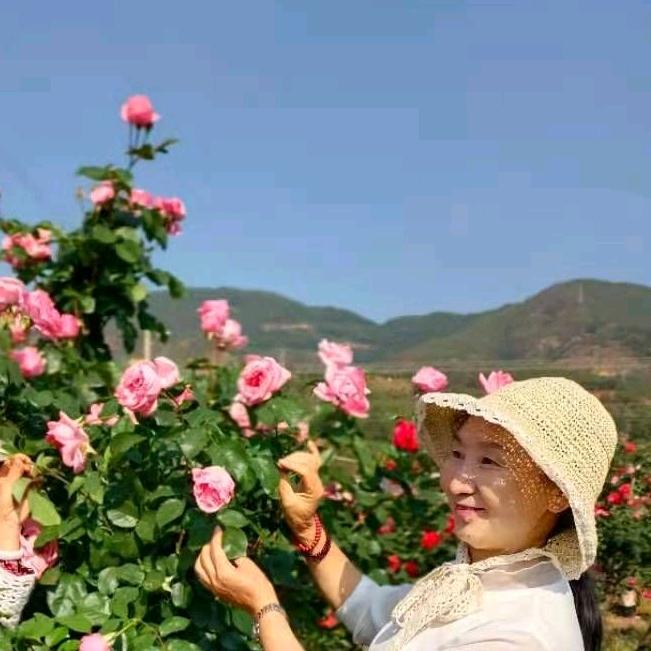 兰辉