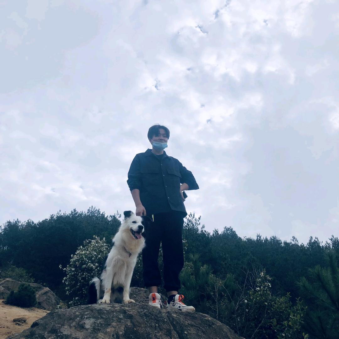 橙子家边牧（武汉桃花岛宠物）