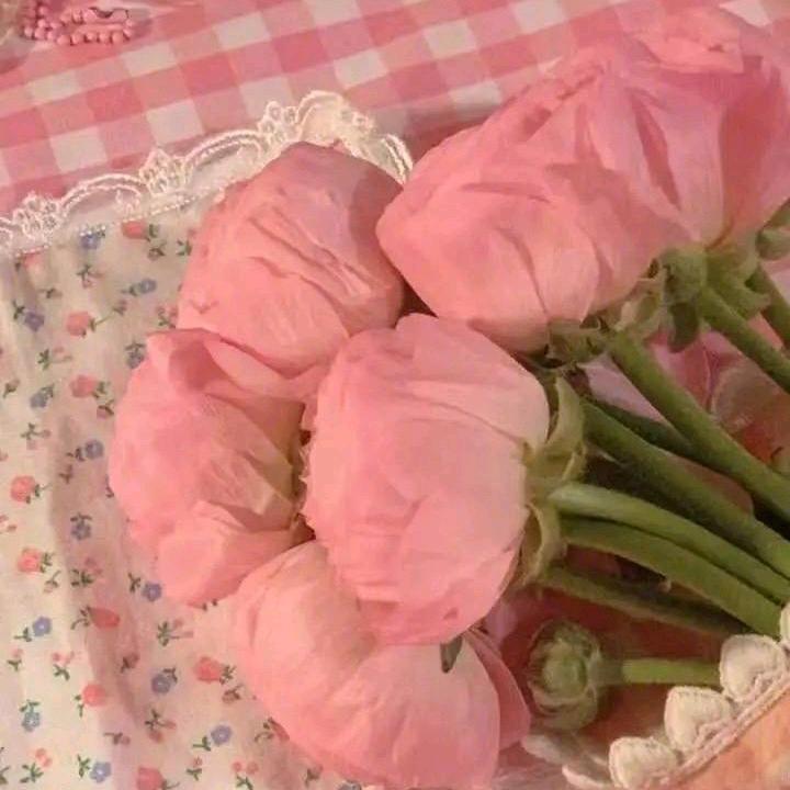 周周诗词
