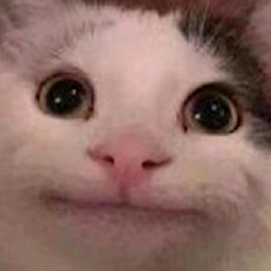 WP番茄