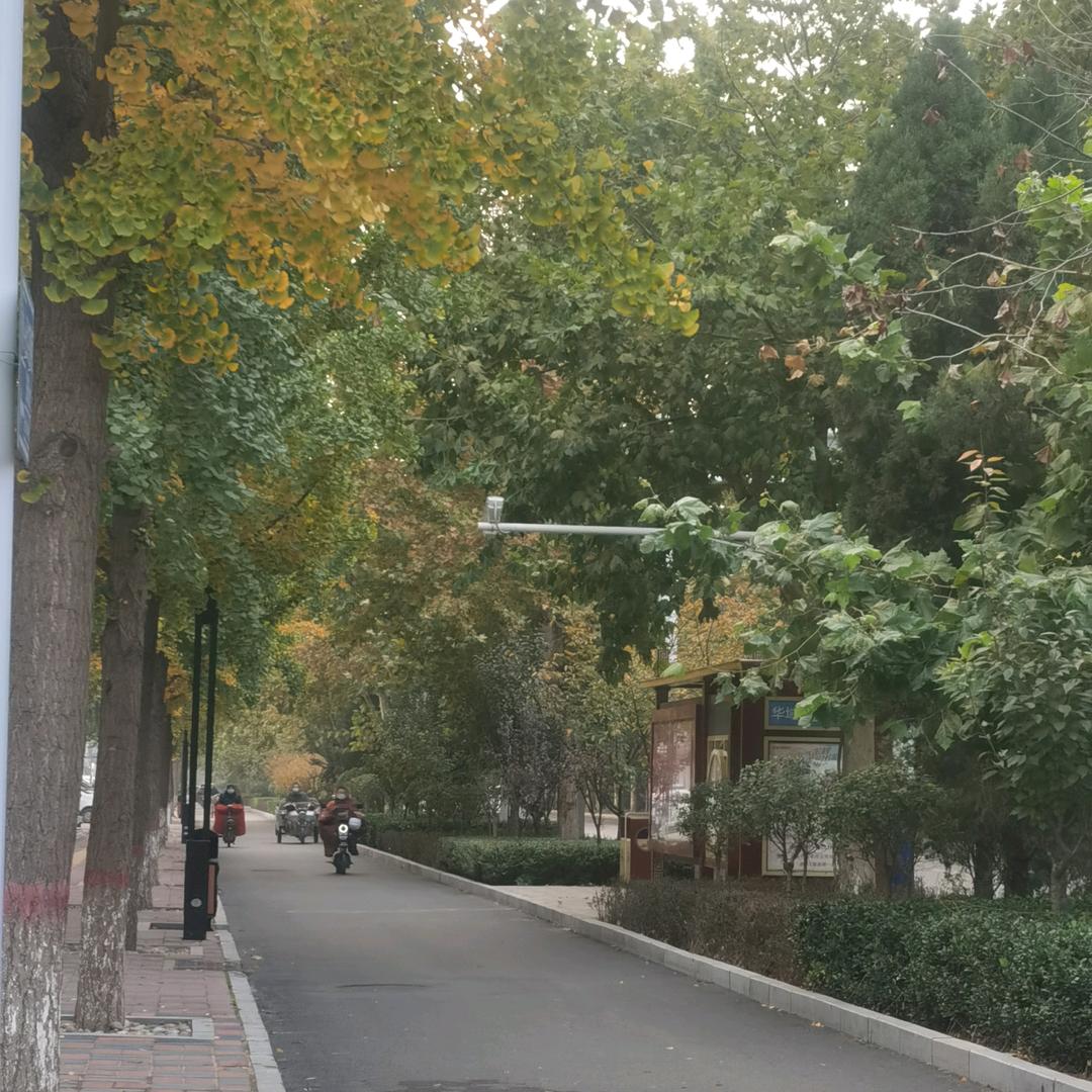 英英百货优选