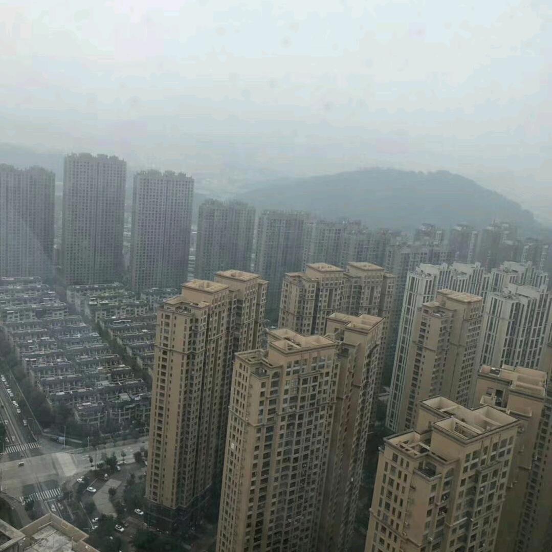 必哥