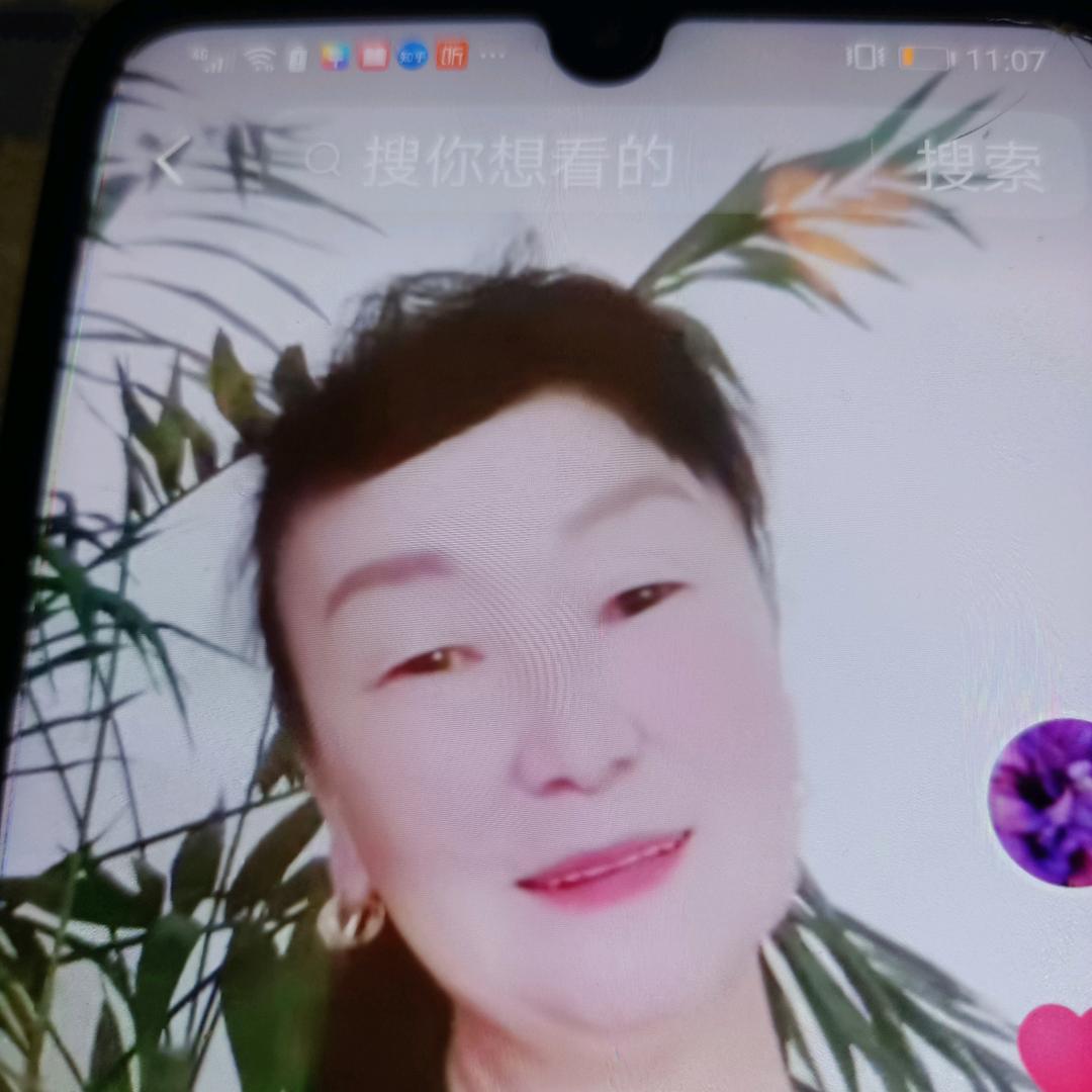 莲花
