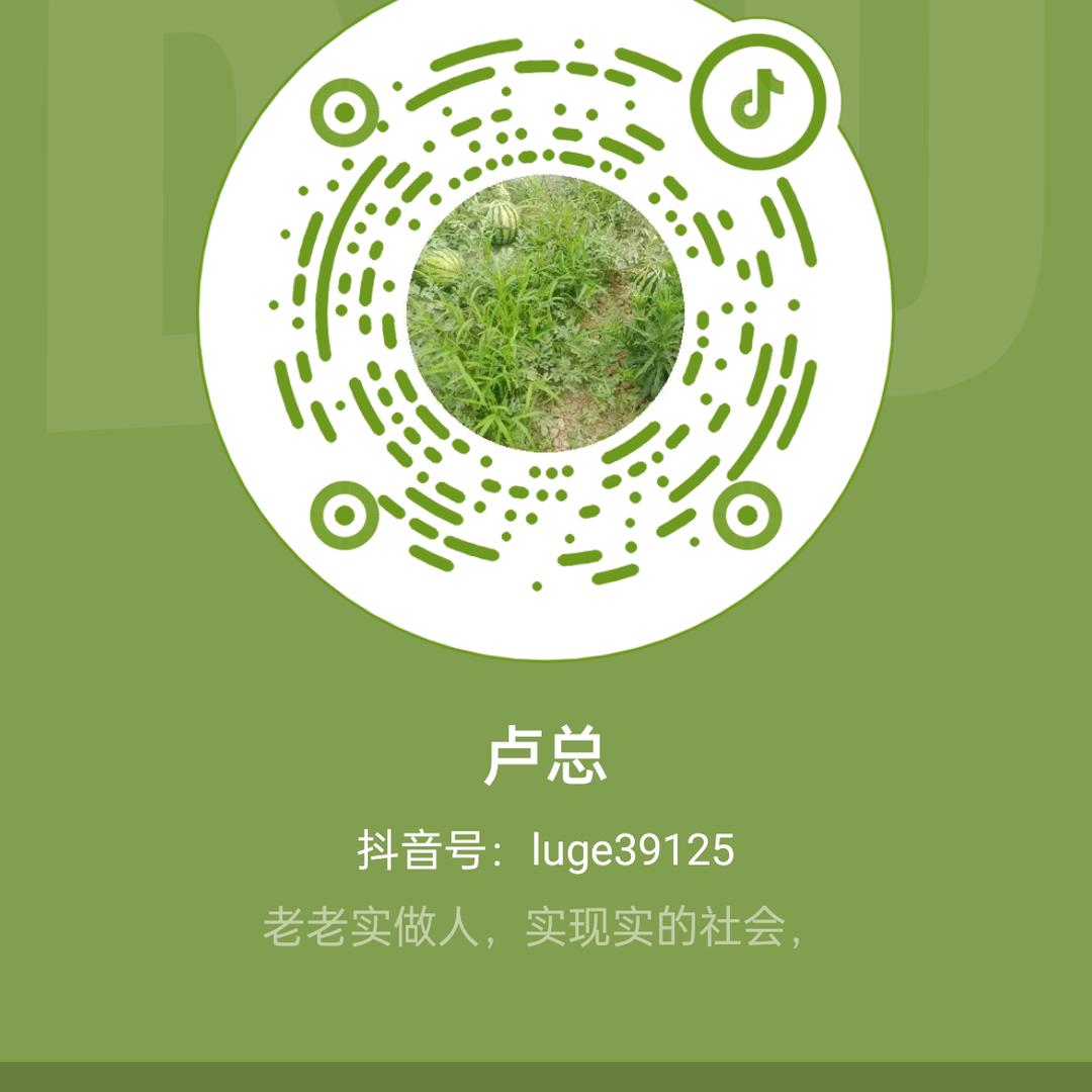 鲁大师