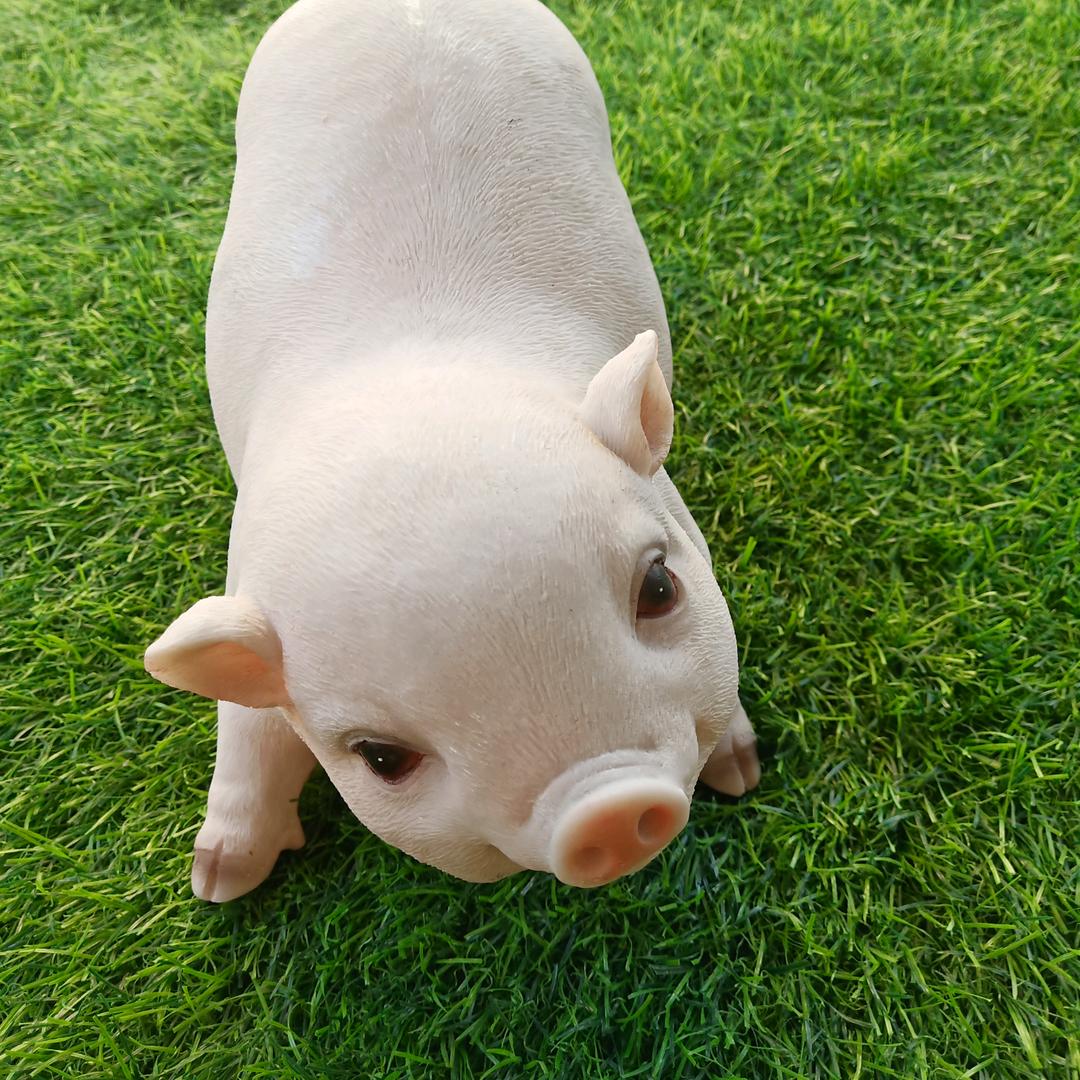 💗᭄仅此🕊꯭᭄꯭ꦿ而已࿐