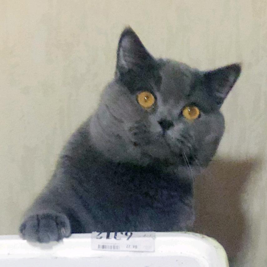 我是莓老板🏄🏻