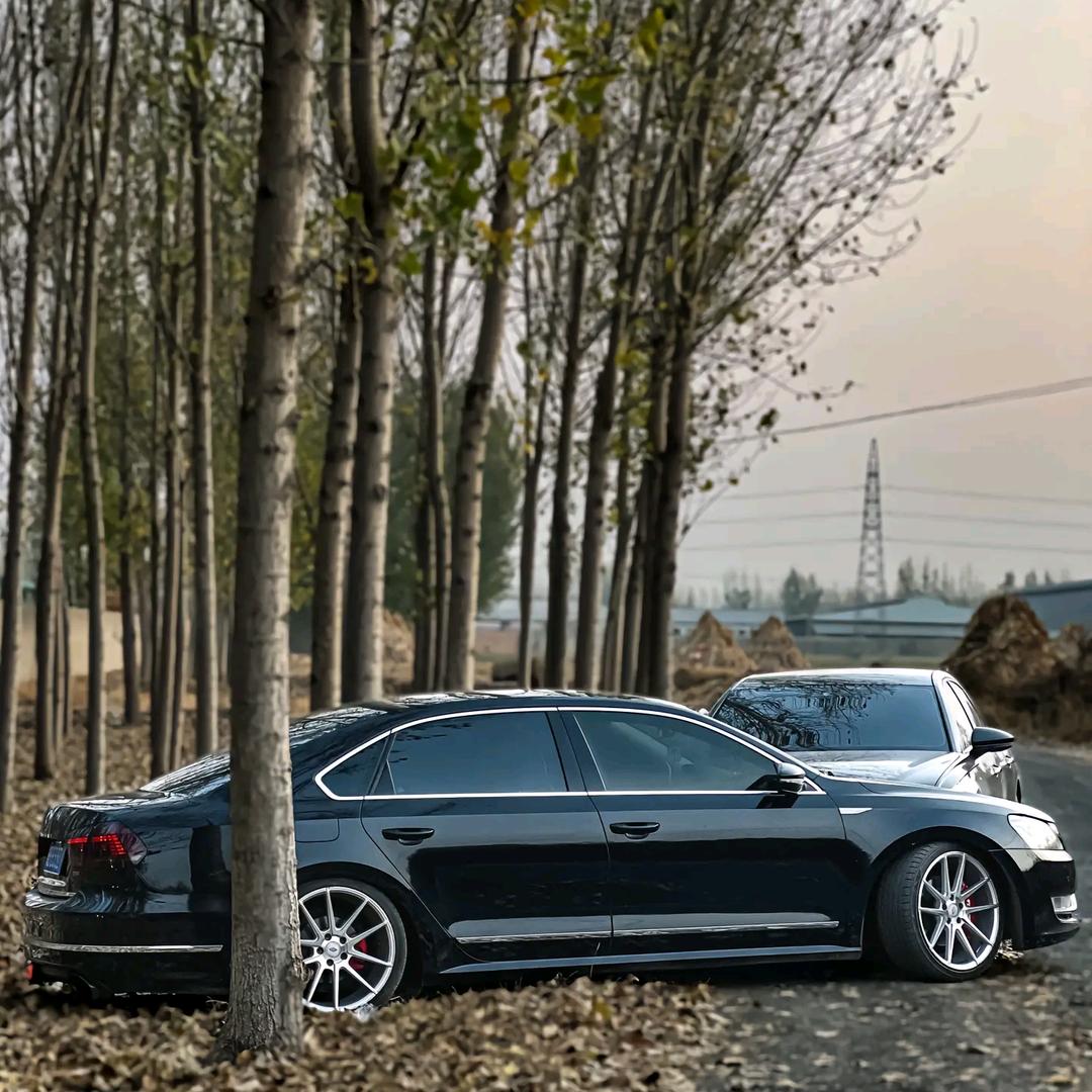 养一只Passat