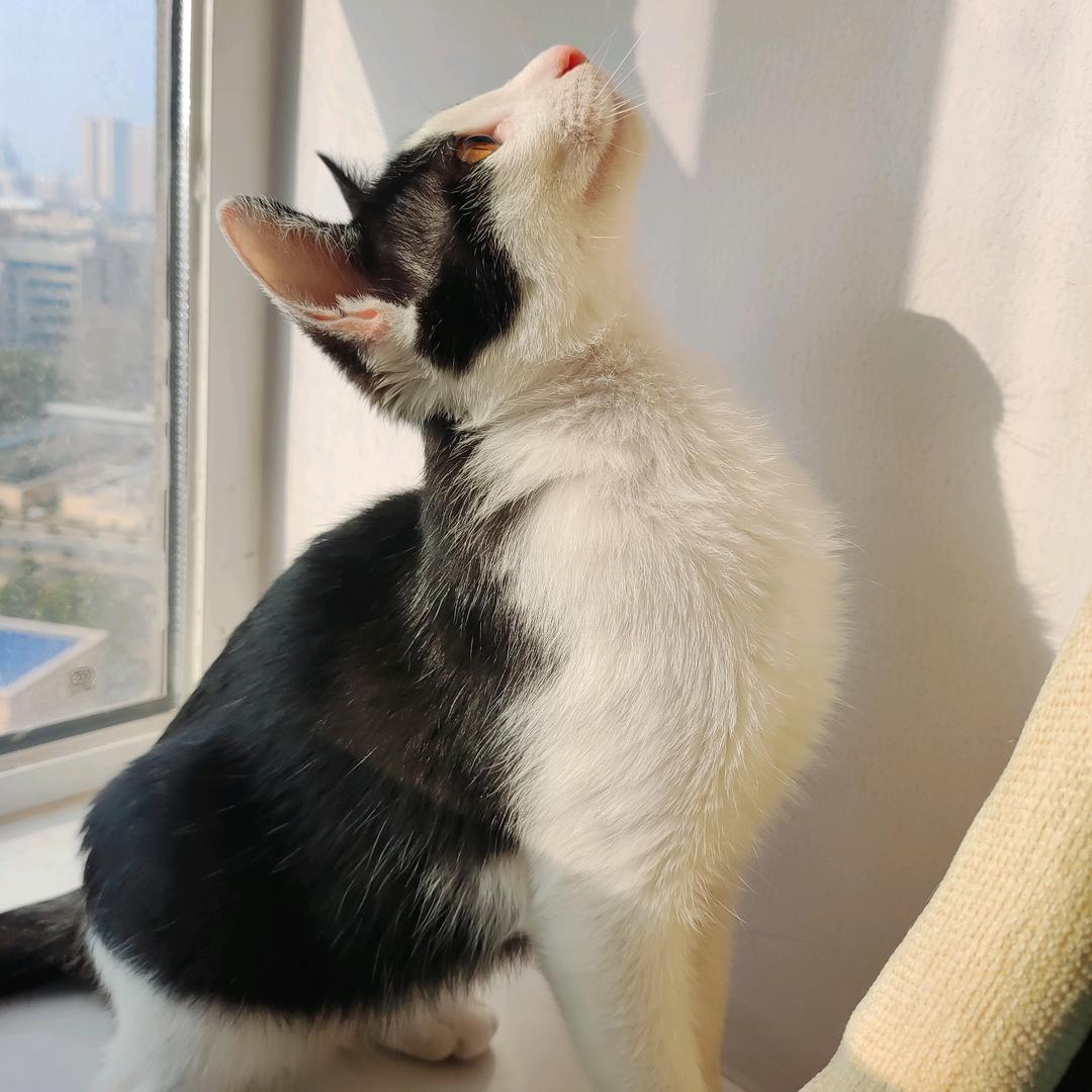 谢小姐的七七八八