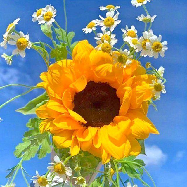 @໑ຼₒ₂₂不念过往୧⍤⃝💞ــــــ