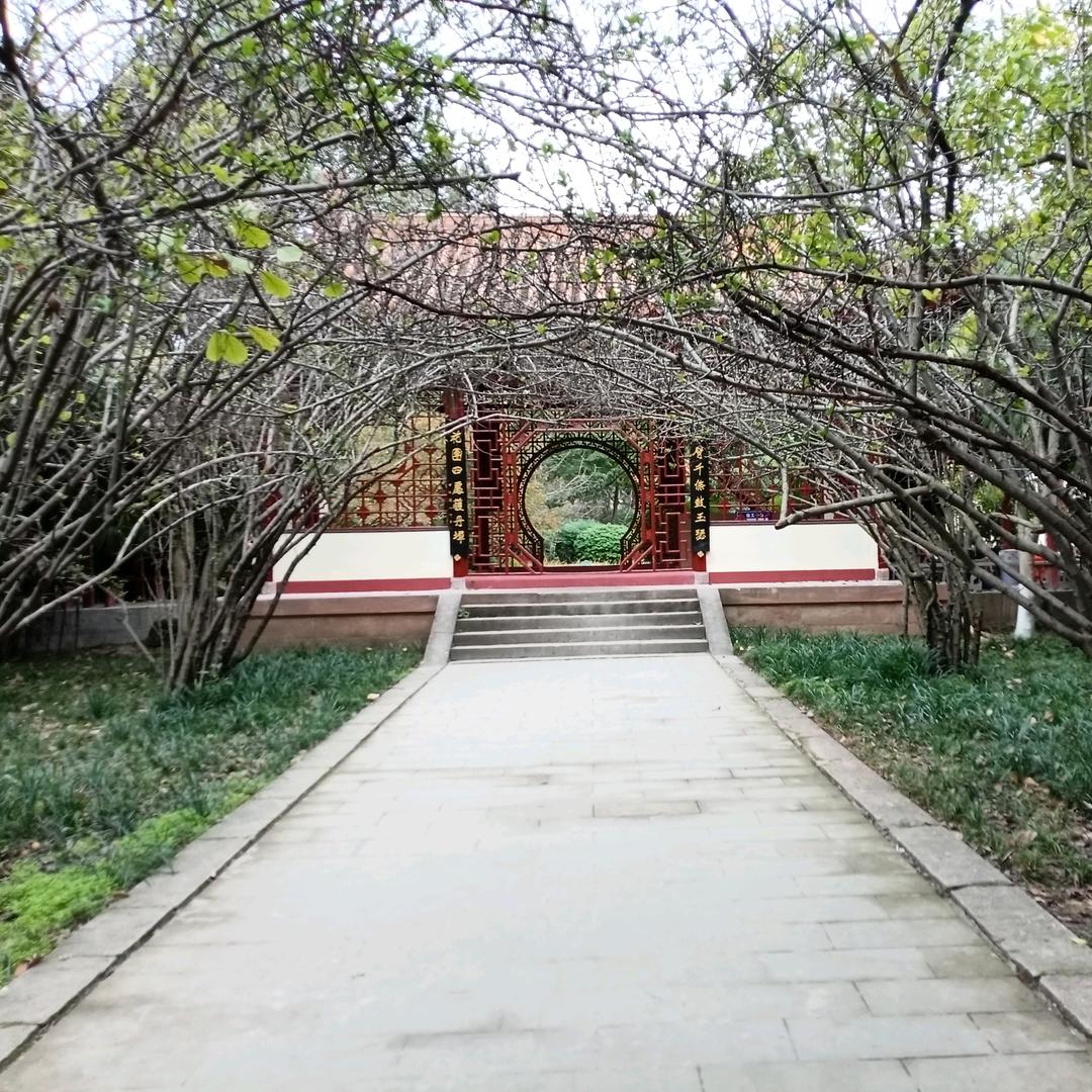 成就辉煌