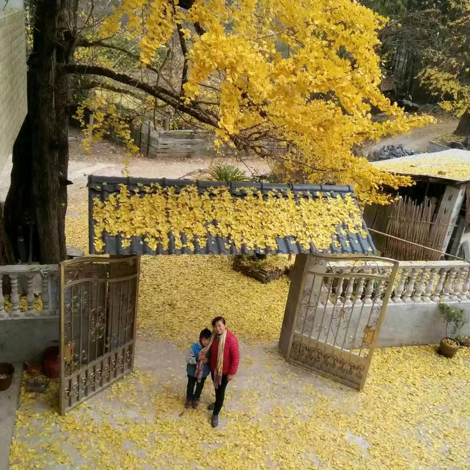 ❤习惯❤有你