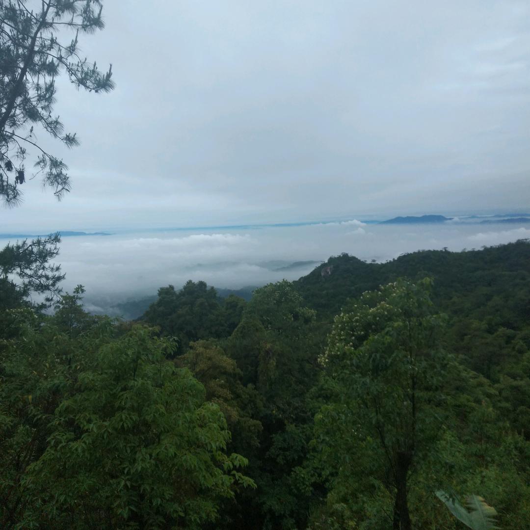 易源泰