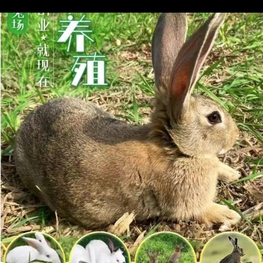 王王d(ŐдŐ๑)