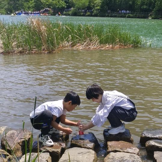 美丽姐