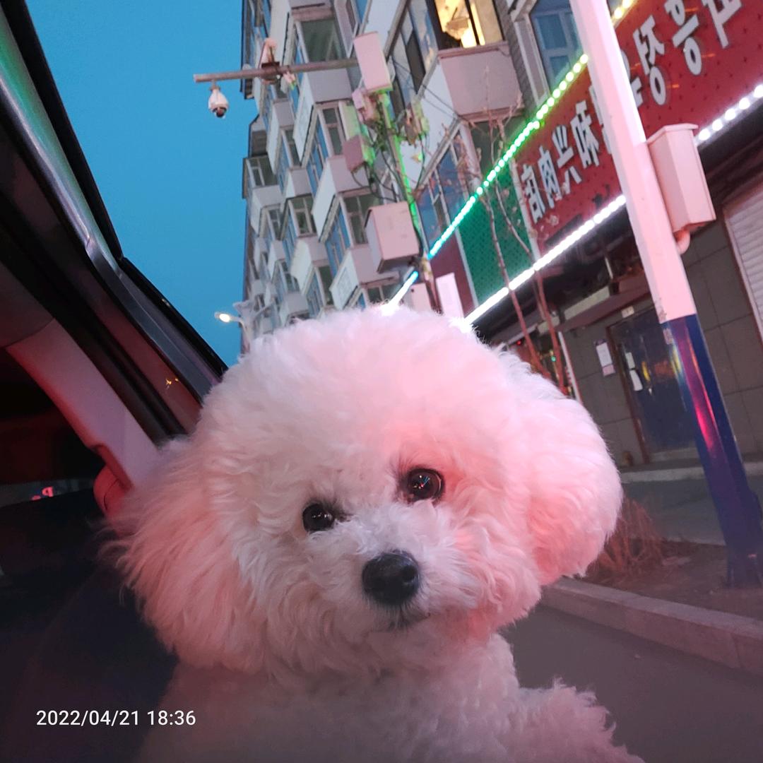 朱洪梅念鱼之水天旺百货