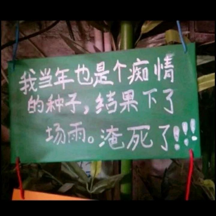 〖陈〗