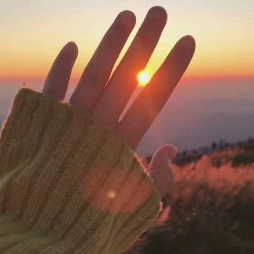 🌹幸福的女人🌹