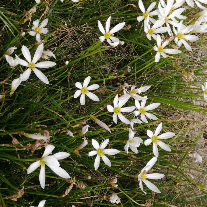 幸福永远啦啦啦