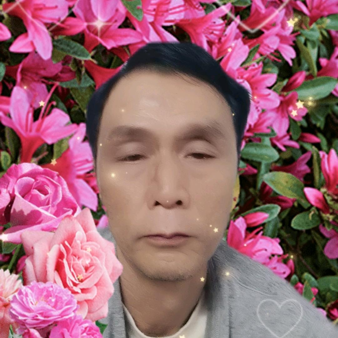 社平