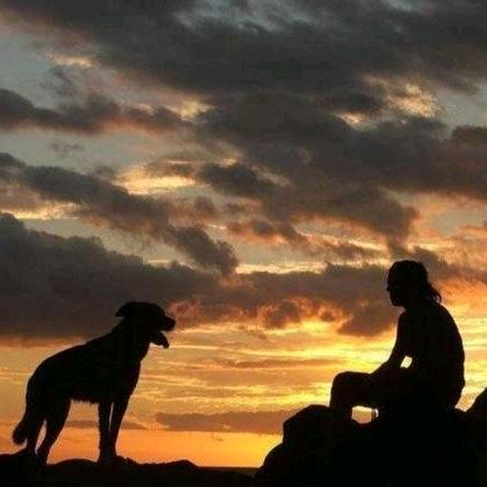 小蔡学长（川工科版）