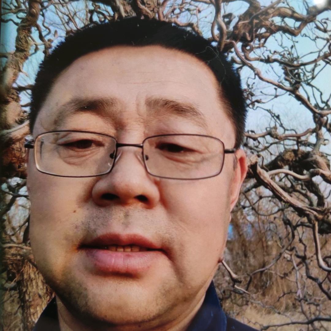 龙枣树(橱窗有好物)