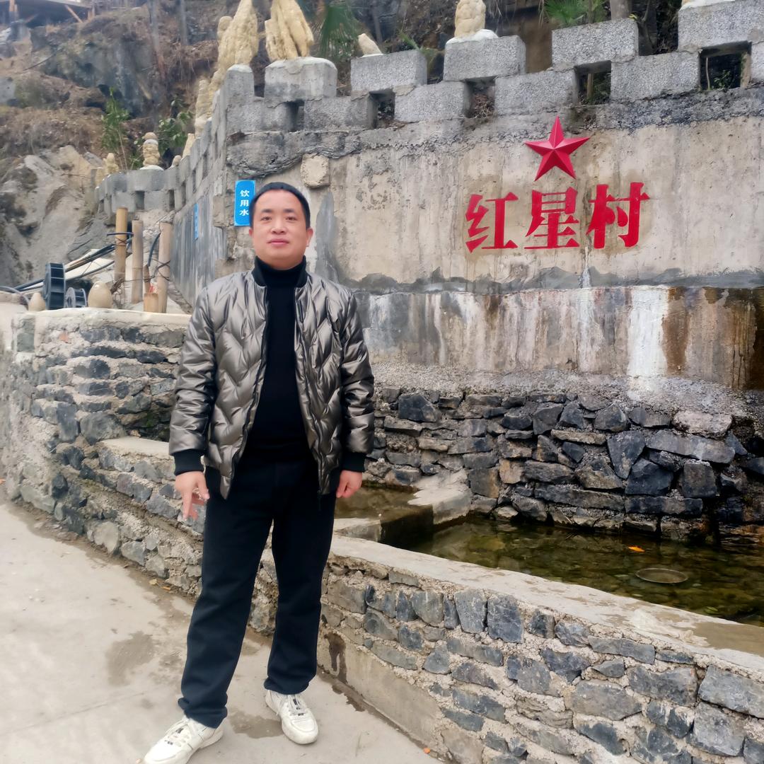 未来哥