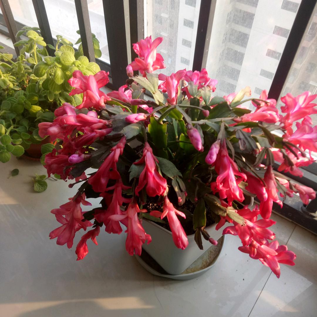 感恩遇见🙏🙏