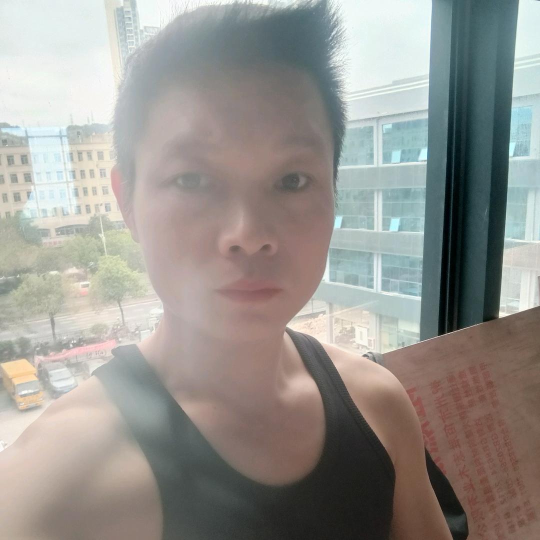 高飞雄鹰